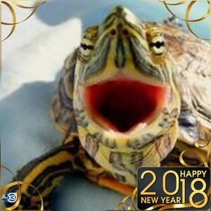 Meet your Posher, Oscar